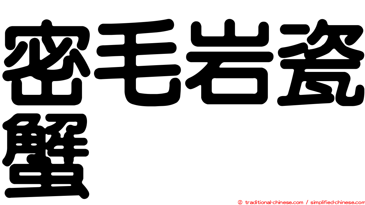 密毛岩瓷蟹