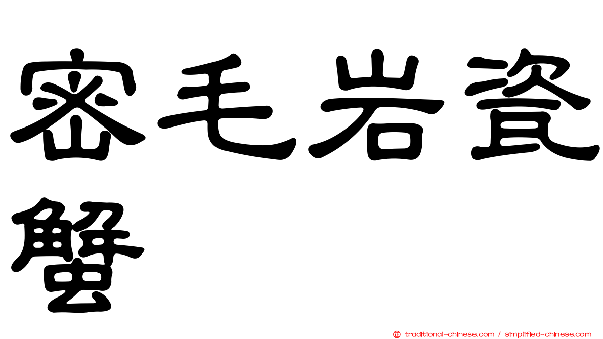 密毛岩瓷蟹