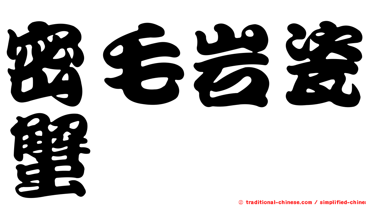 密毛岩瓷蟹