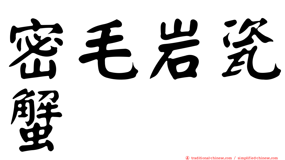 密毛岩瓷蟹