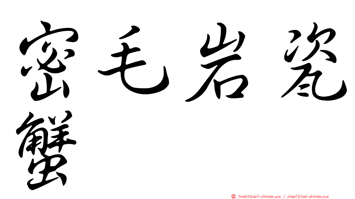 密毛岩瓷蟹