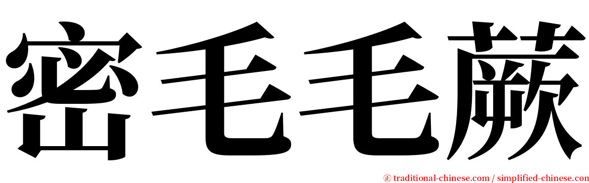 密毛毛蕨 serif font