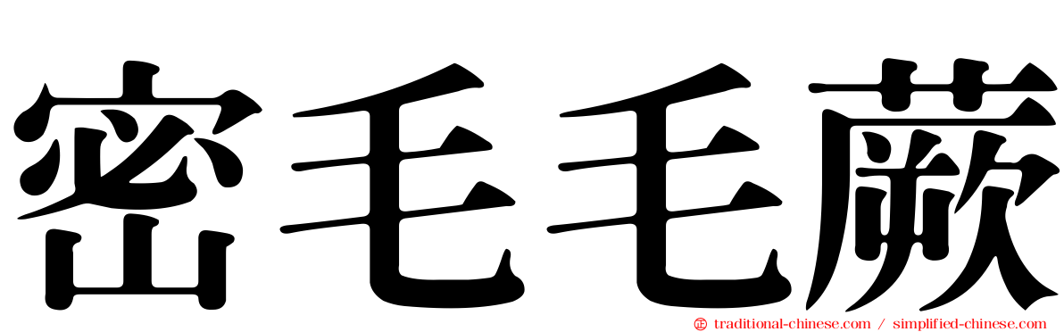 密毛毛蕨