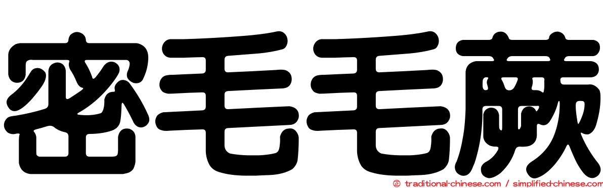 密毛毛蕨