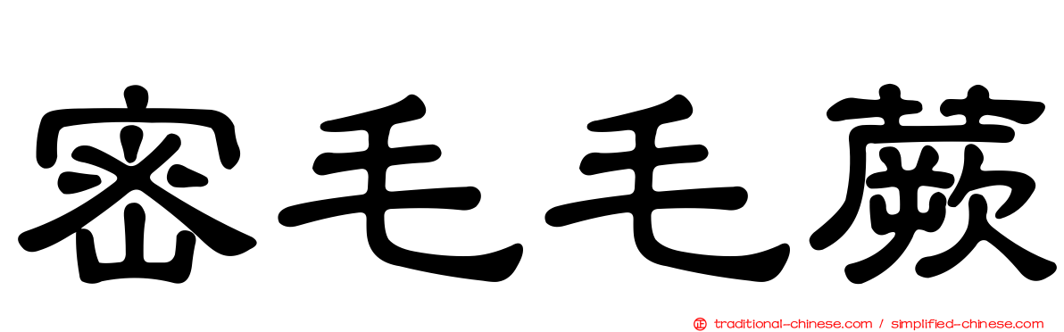 密毛毛蕨