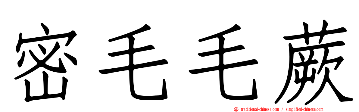 密毛毛蕨