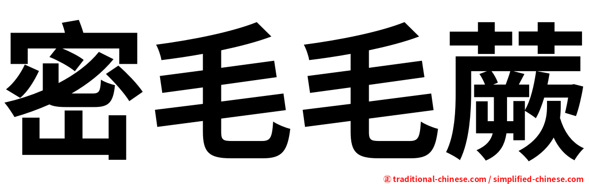 密毛毛蕨