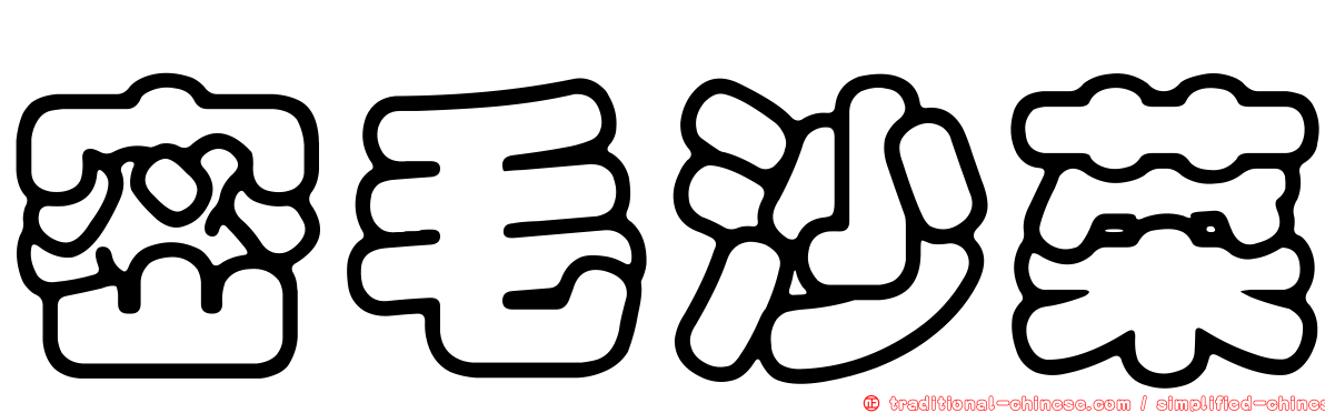 密毛沙菜