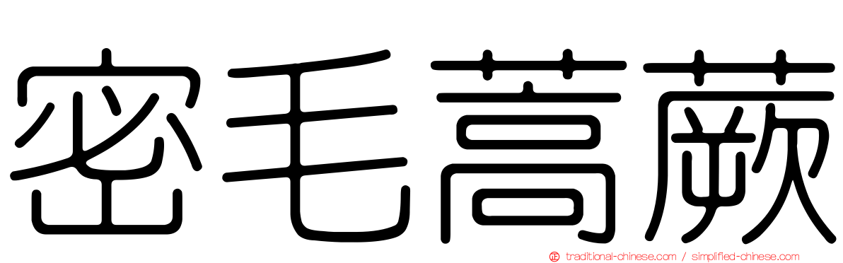 密毛蒿蕨