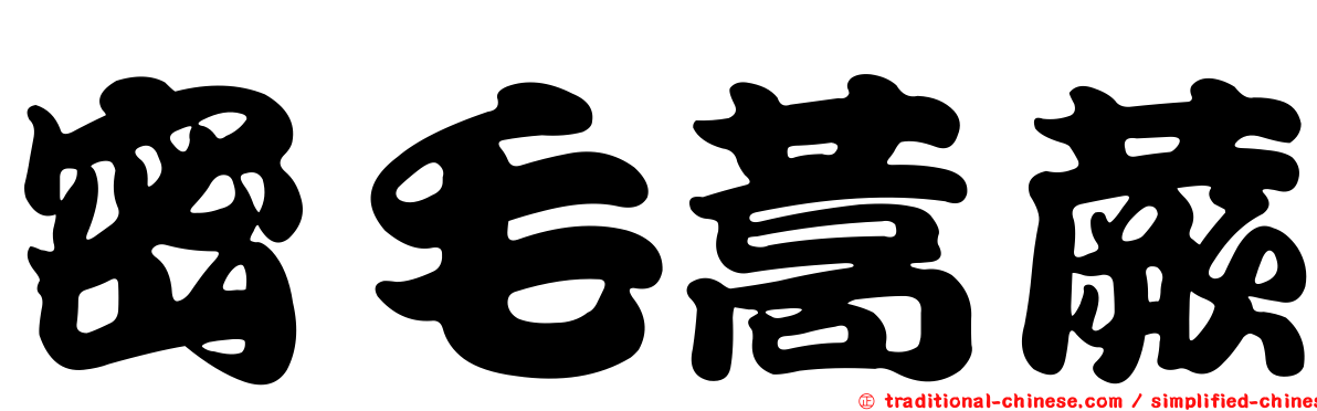 密毛蒿蕨
