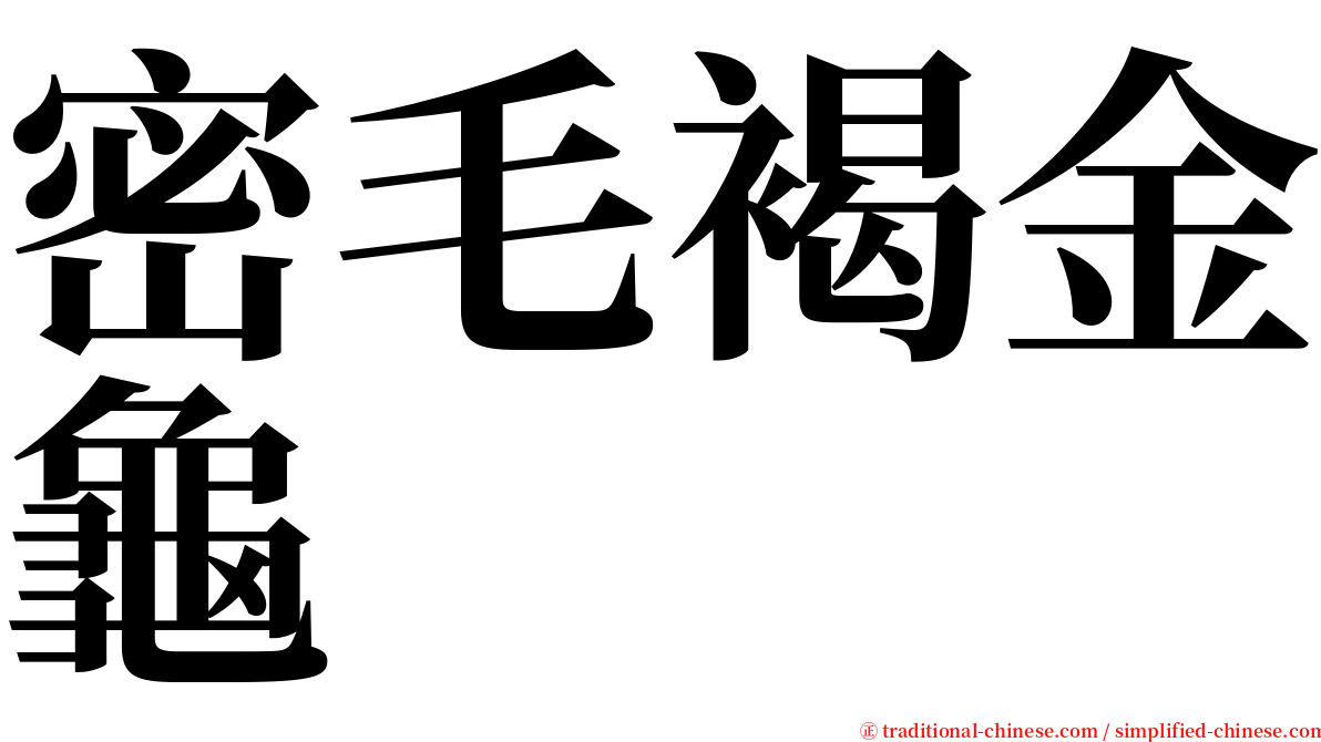 密毛褐金龜 serif font