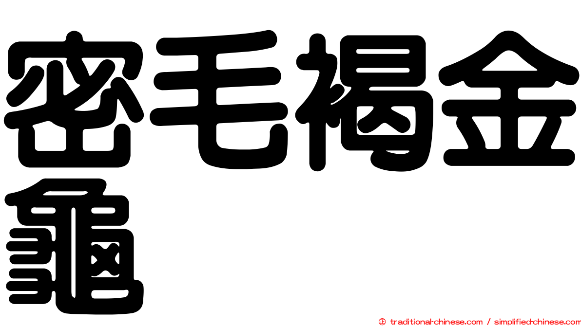 密毛褐金龜