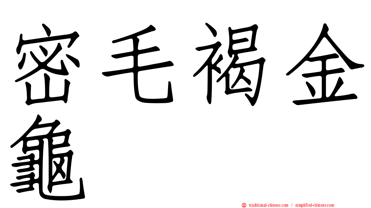 密毛褐金龜