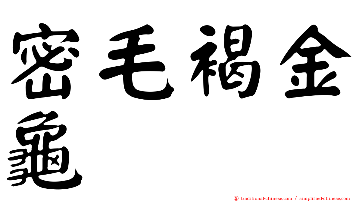密毛褐金龜