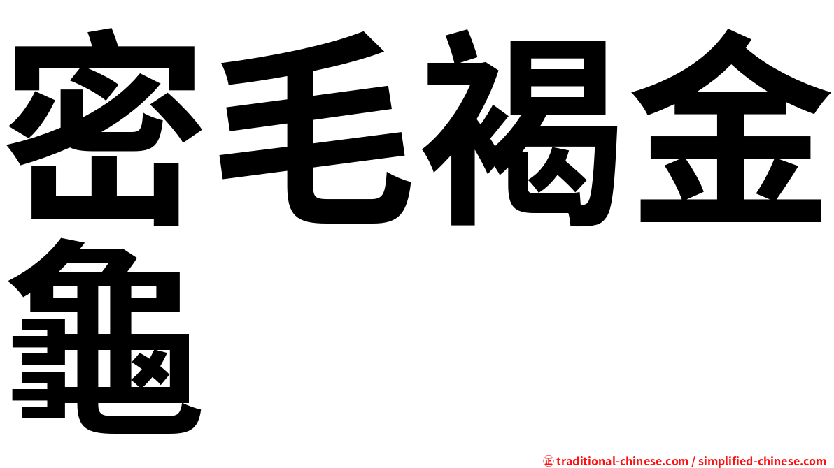 密毛褐金龜