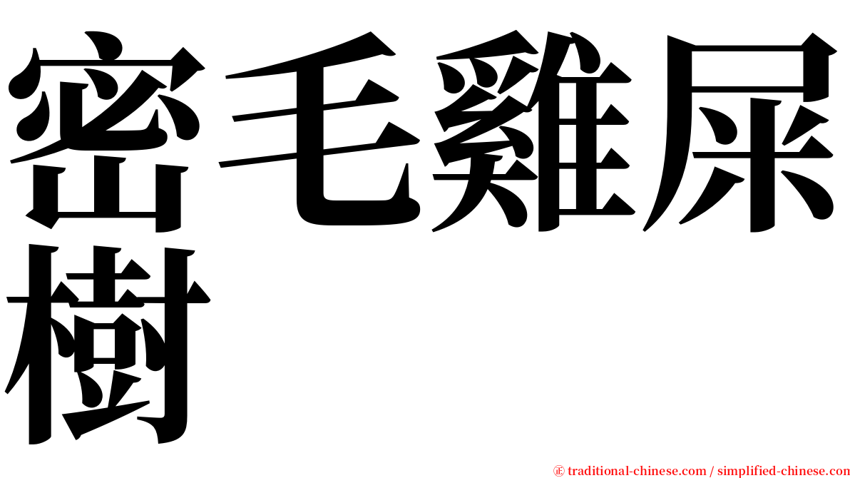 密毛雞屎樹 serif font