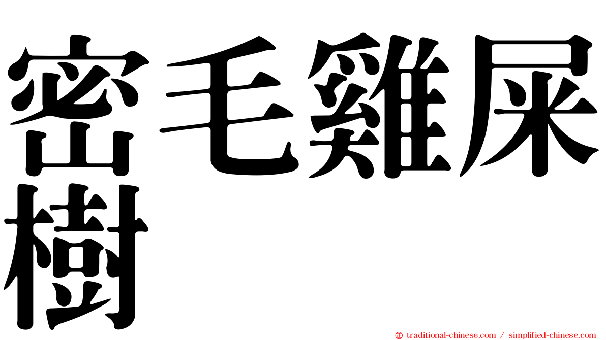 密毛雞屎樹