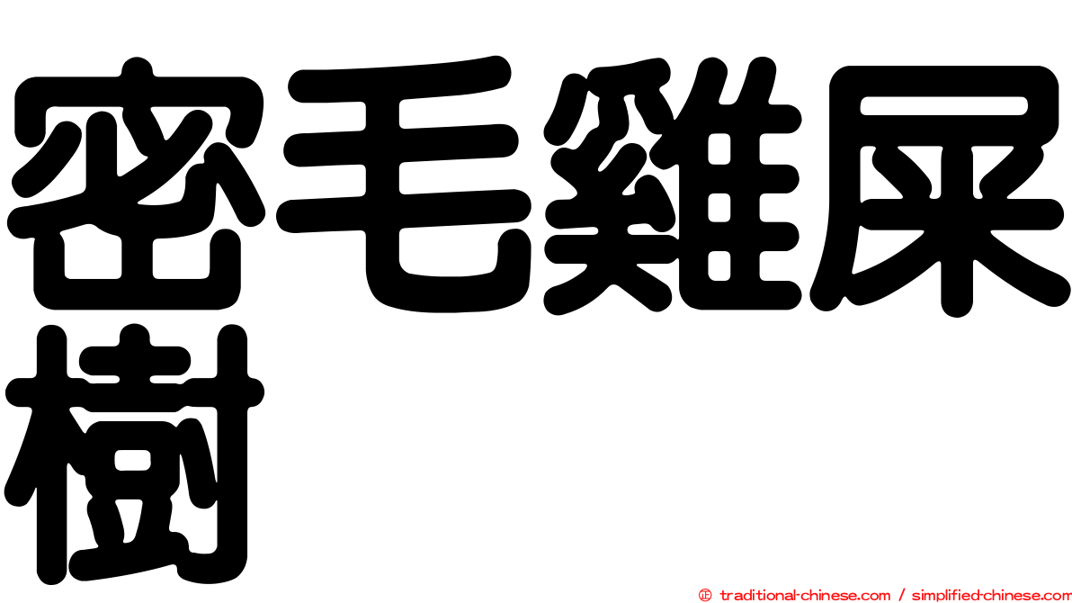 密毛雞屎樹