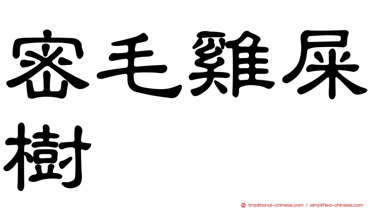 密毛雞屎樹