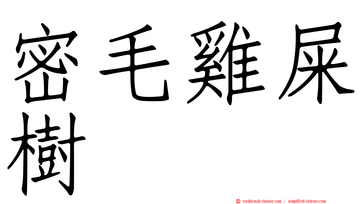 密毛雞屎樹