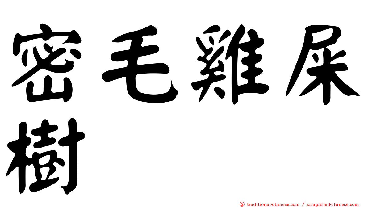 密毛雞屎樹