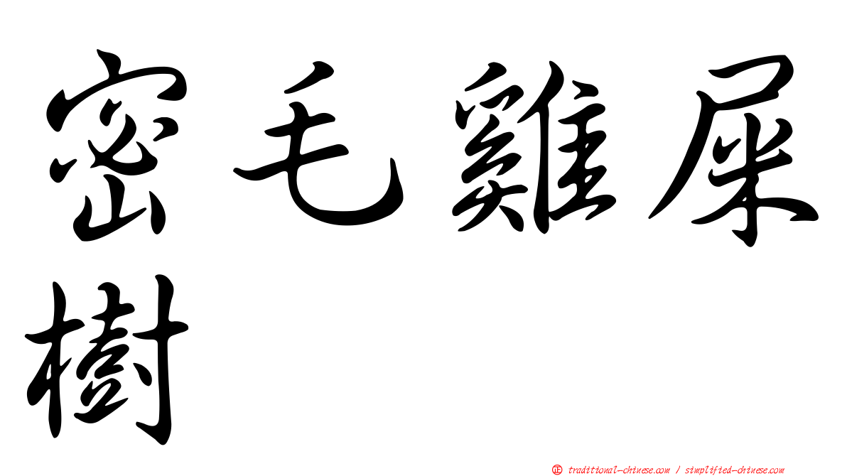 密毛雞屎樹