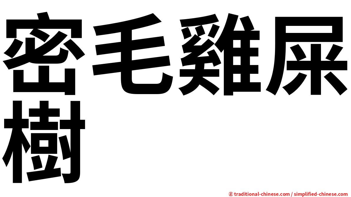 密毛雞屎樹