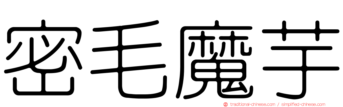 密毛魔芋