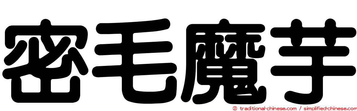 密毛魔芋