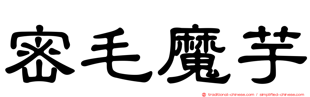 密毛魔芋
