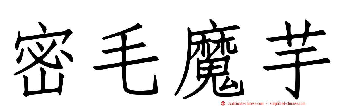 密毛魔芋