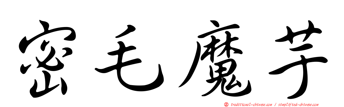 密毛魔芋