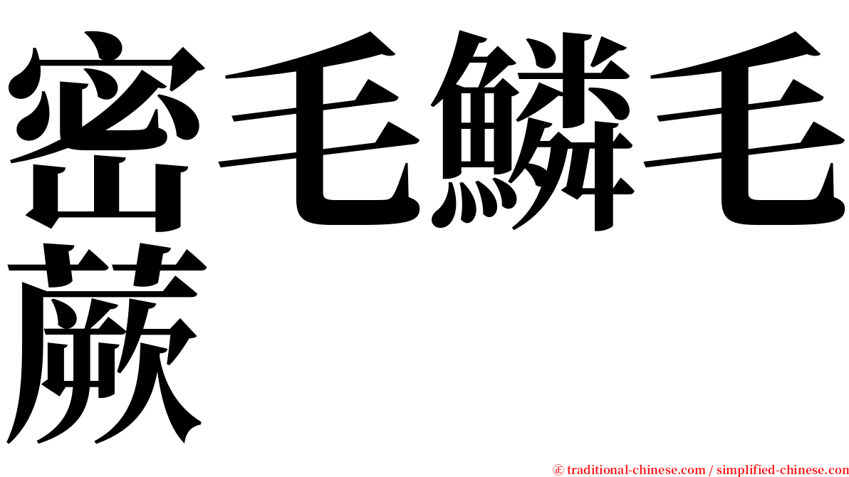 密毛鱗毛蕨 serif font