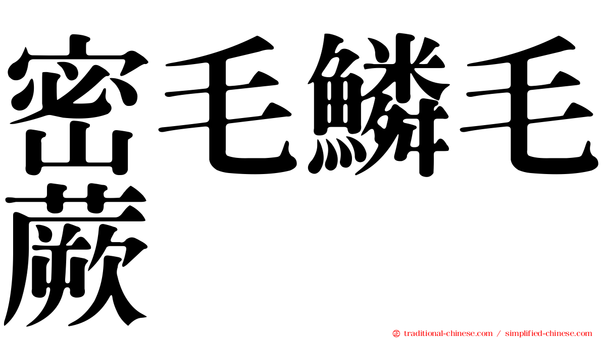 密毛鱗毛蕨