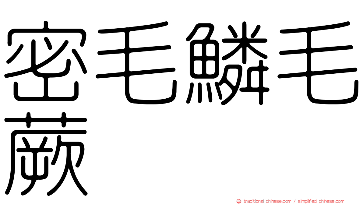 密毛鱗毛蕨