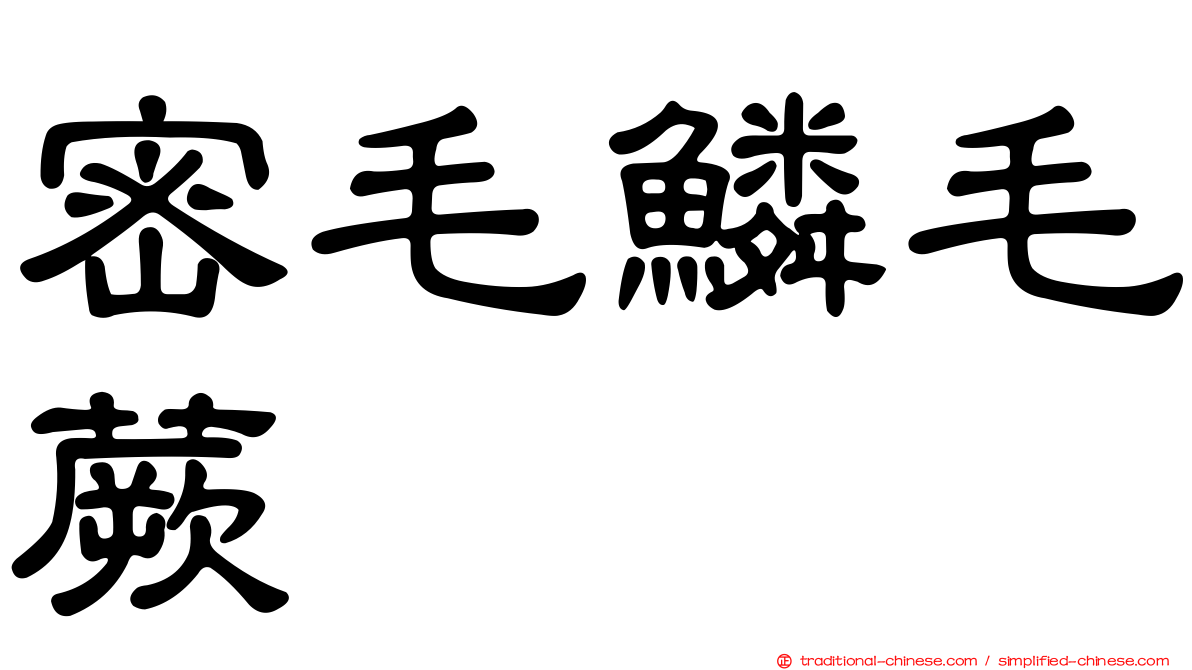 密毛鱗毛蕨
