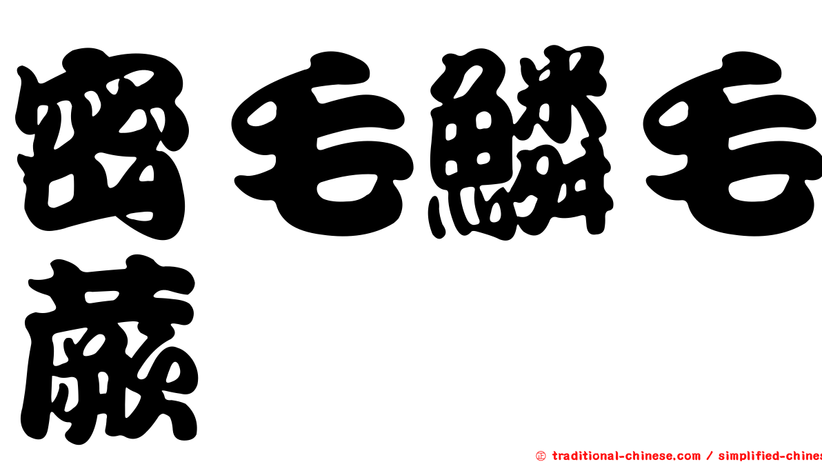 密毛鱗毛蕨