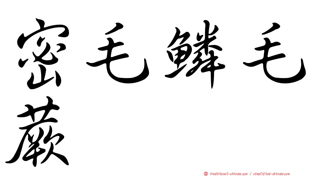 密毛鱗毛蕨