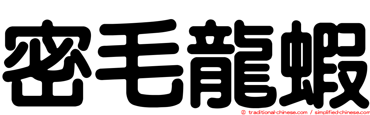 密毛龍蝦
