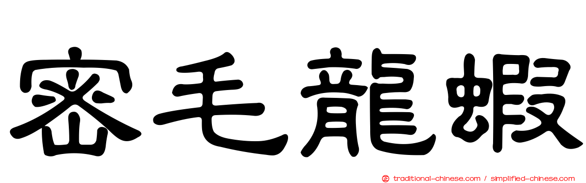 密毛龍蝦