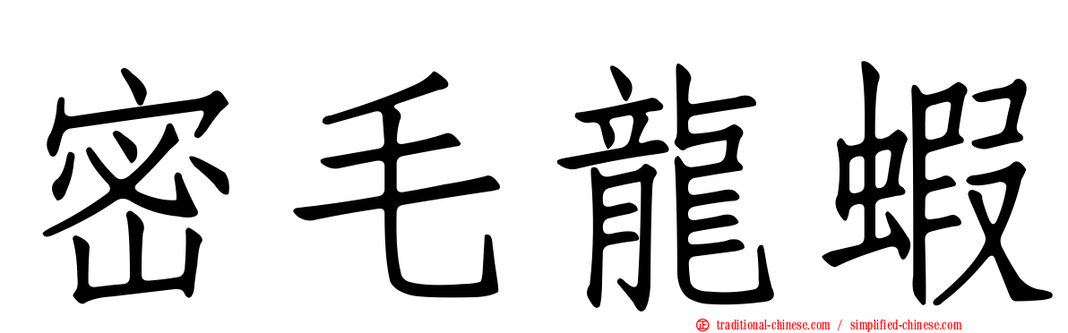 密毛龍蝦