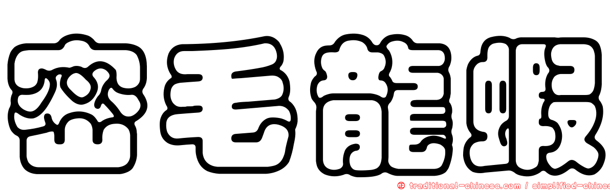 密毛龍蝦