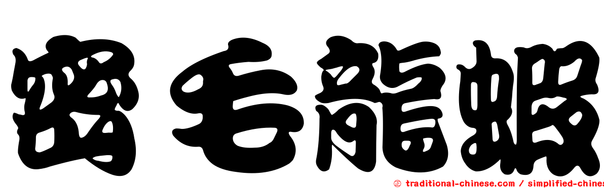 密毛龍蝦