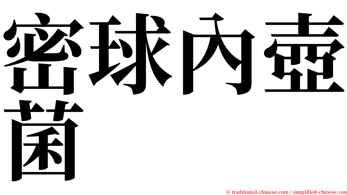 密球內壺菌 serif font