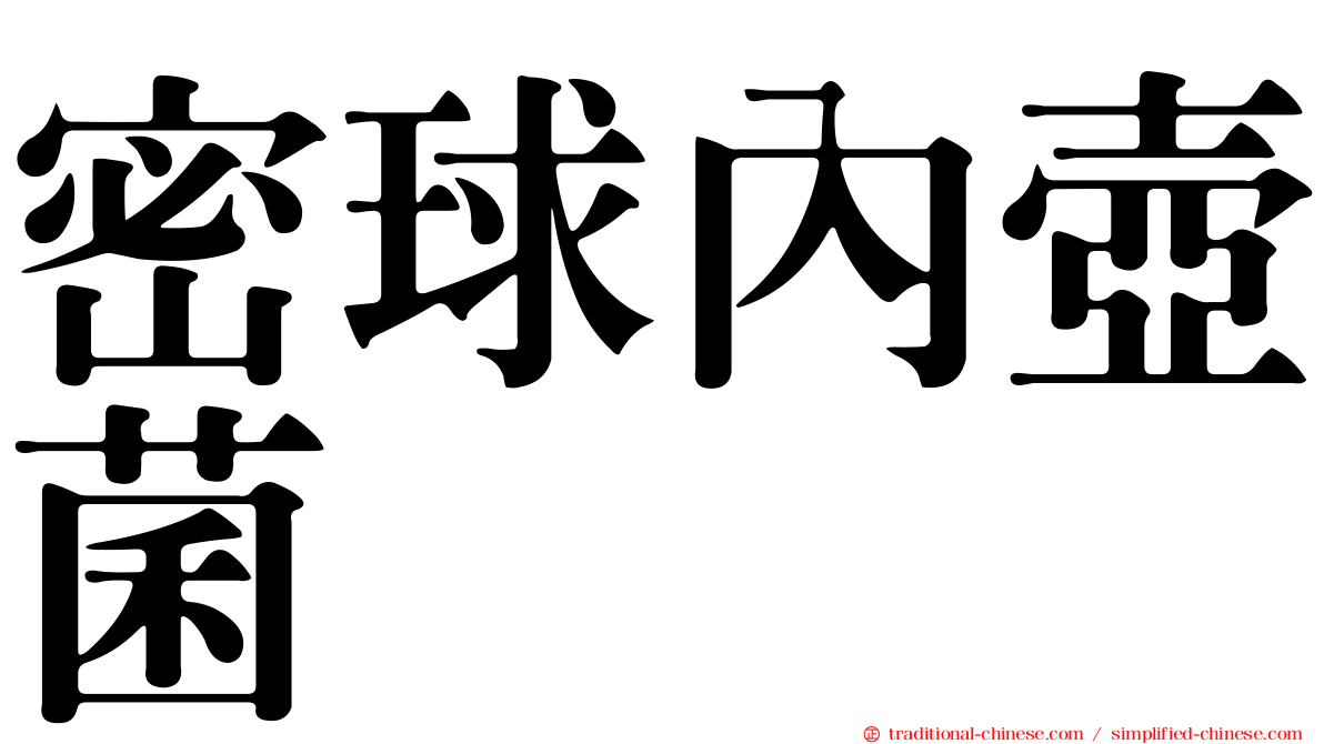 密球內壺菌