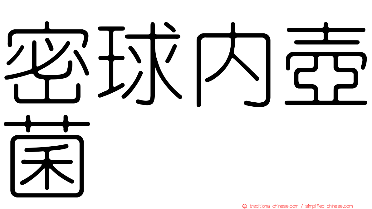 密球內壺菌