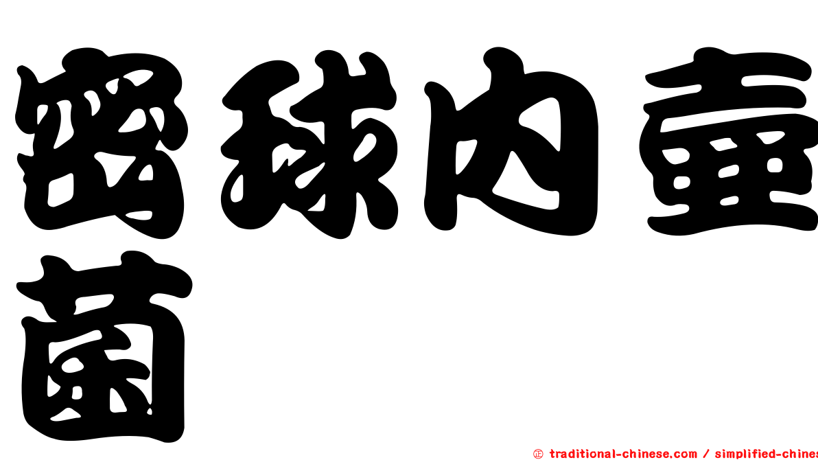 密球內壺菌