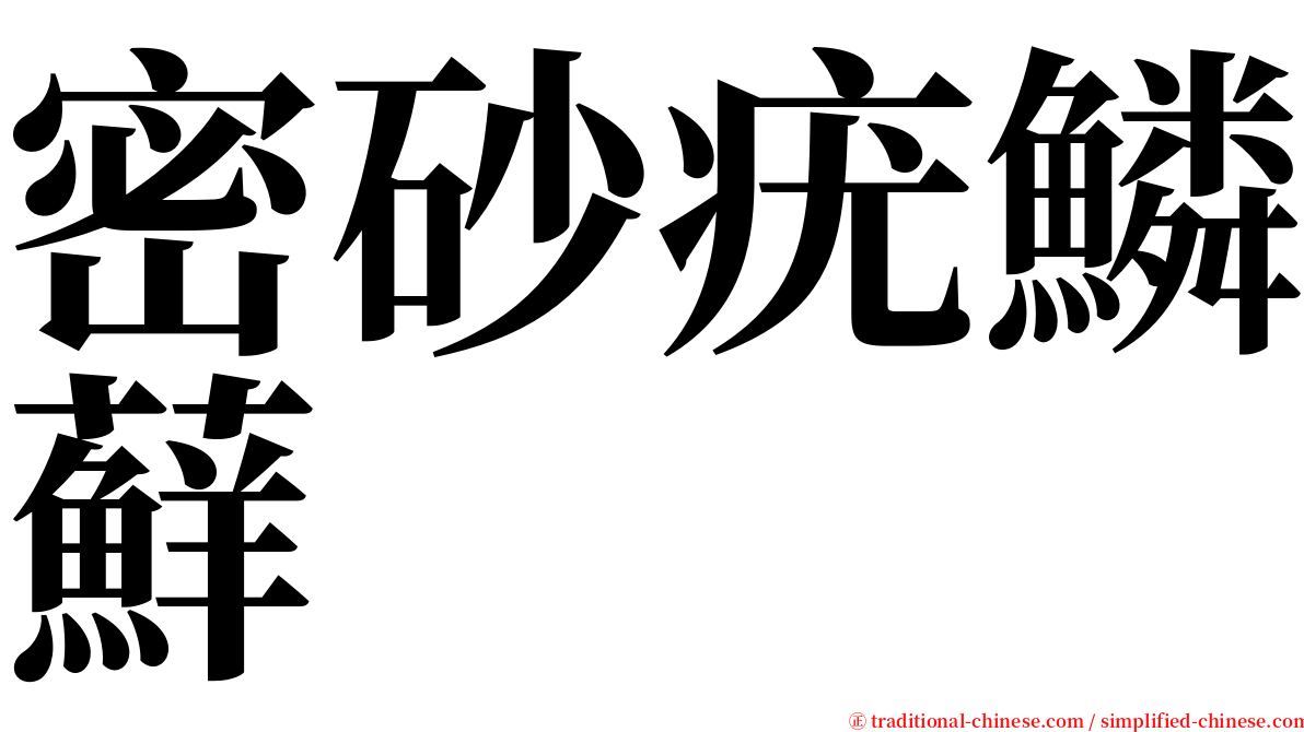 密砂疣鱗蘚 serif font