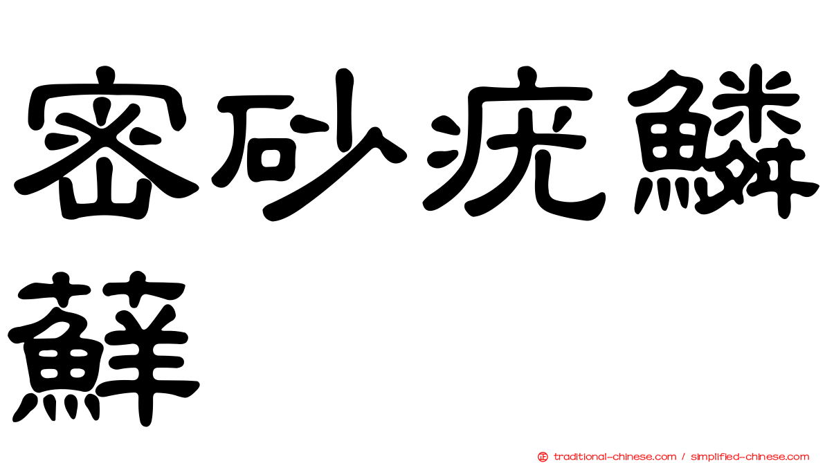 密砂疣鱗蘚