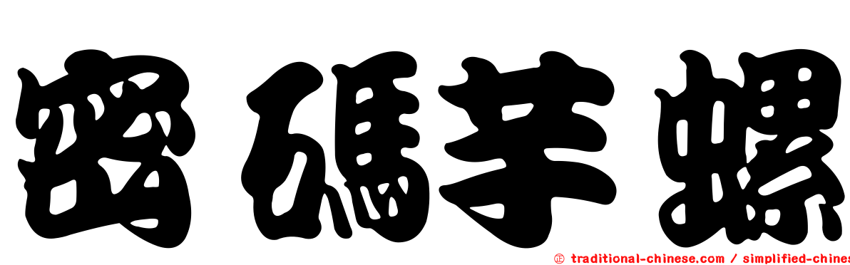 密碼芋螺